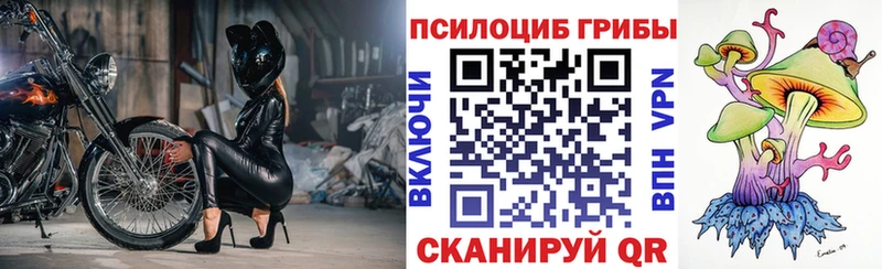 Галлюциногенные грибы Psilocybine cubensis Пикалёво